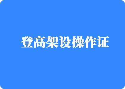 爱肏屄免费视频登高架设操作证